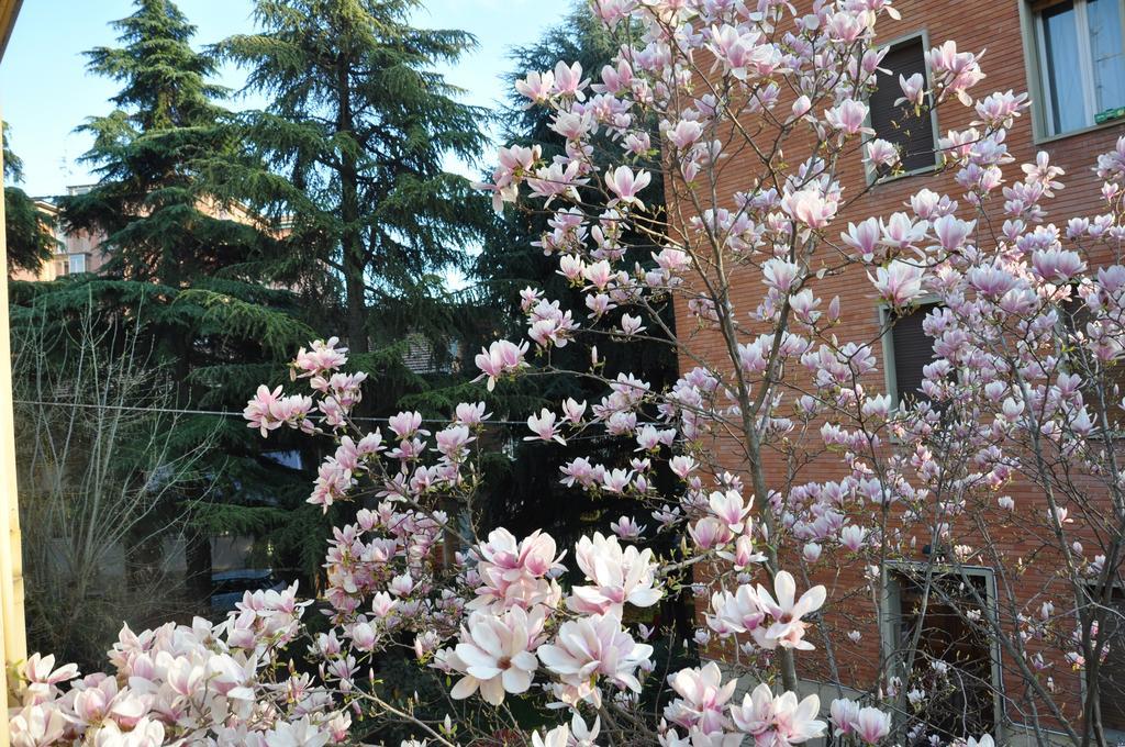 B&B Villa Marsa - Bologna, Bologna